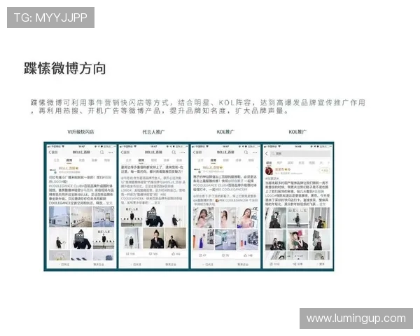 数据分析揭示Instagram在品牌推广中的强大影响力与表现趋势