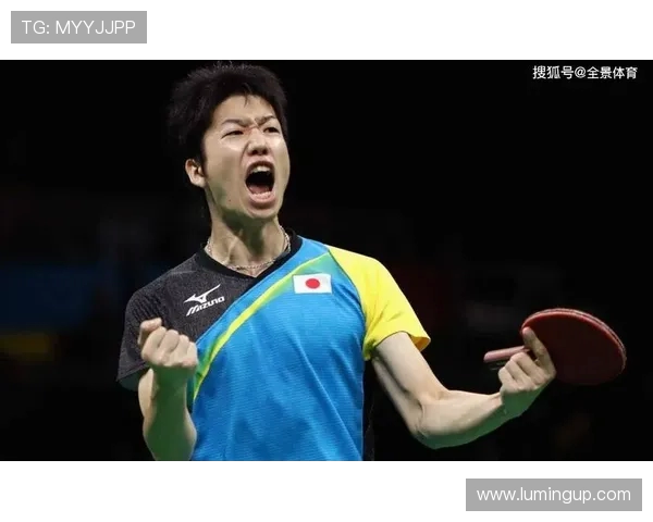 杭州网球队防反战术革新全景解析与未来展望