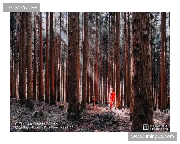 武汉极限运动队心理素质的变革与挑战探讨