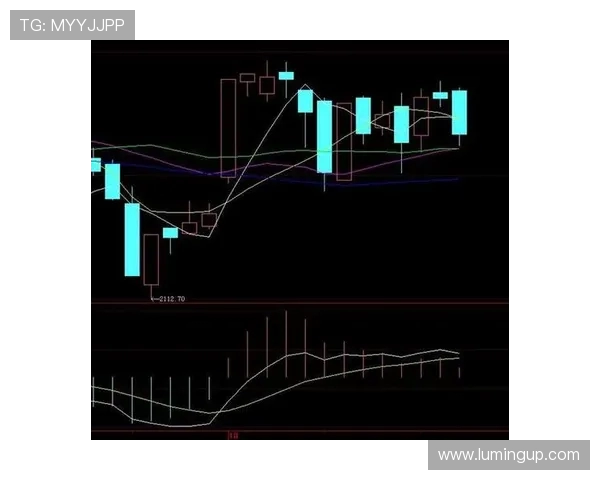西安排球队防守策略分析与成效评估探讨