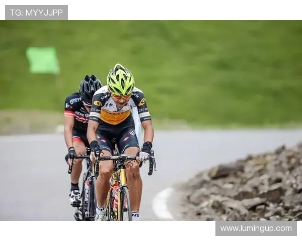 山东对阵辽宁精彩全场直播回顾与赛后分析尽在这里