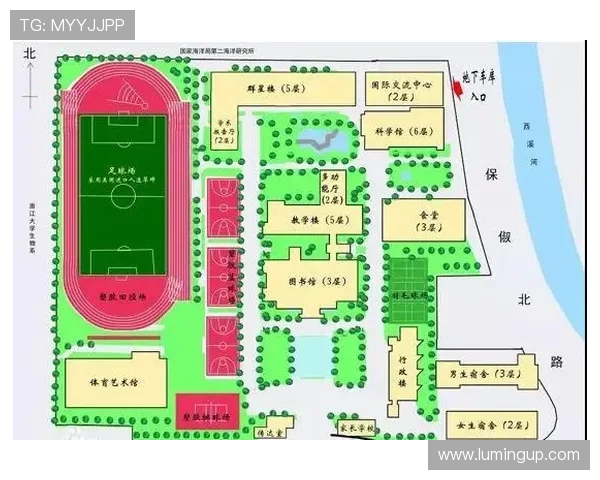 杭州乒乓球队阵地战打法深度分析与战术探讨